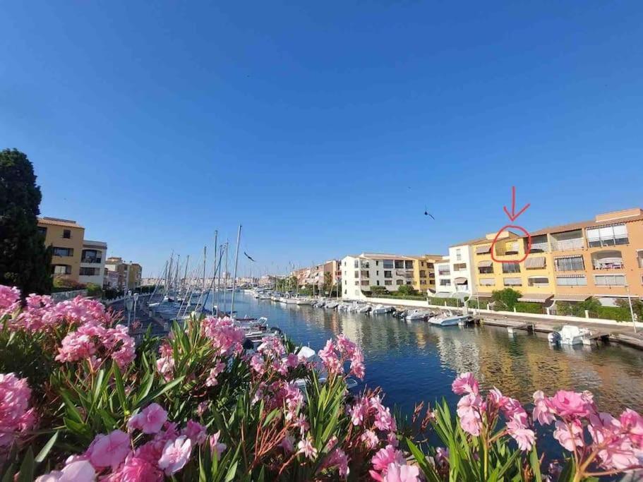 Apartment Cap'nomad Cote Port - Terrasse - Piscine - Parking